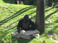 Schulausflug Tierpark Schmiding 26728629