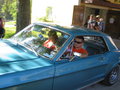 Mustangtreffen 28065301