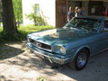 Mustangtreffen 28065465