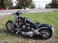 Harley Davidsontreffen 44726296
