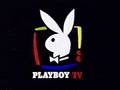 Playbunnys 4486277