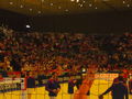 EM-Handballspiel Hrvatska gegen Russland 71235888