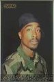 2 Pac Shakur 16556978