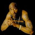 2 Pac Shakur 16556991