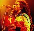 BoB mArLeY 8315854