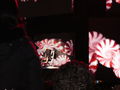 Madonna-Sticky & Sweet Tour- 230908 45766790