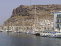 Gran Canaria 2005 3002107