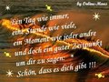 Alles!Pic`s! 14311951