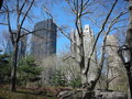 Central Park & Empire State Building 19092862