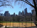 Central Park & Empire State Building 19092866