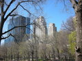 Central Park & Empire State Building 19092867