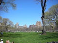 Central Park & Empire State Building 19092868