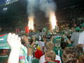 **********SK Rapid Wien********** 3435438