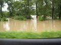 Hochwasser 2009 65461508