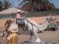 Gran Canaria 2006 - Urlaub extrem! 8118794