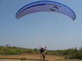 Fliegen in Indien (Arambol) 55844456