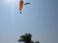 Fliegen in Indien (Arambol) 55844475