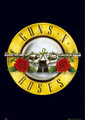 Guns N' Roses 17195355