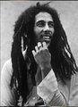 Bob Marley, Jack Johnson, ..... 19730524