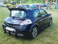 Renault Treffen 2009 61474408