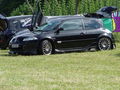 Renault Treffen 2009 61475517