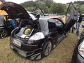 Renault Treffen 2010 73765960