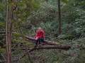 Irgendwaun im Herbst...2005 6073055