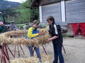 Maibaum 2009 59229609