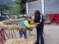 Maibaum 2009 59229706