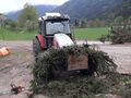 Maibaum 2009 59229758