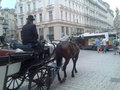 §$§AlOnE_iN_vIeNnA§$§ 22143751