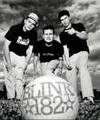 3) Blink 182!!! 8160790