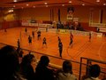 Volleyballspektakl 14317057