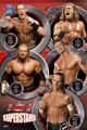 WWE 35260428