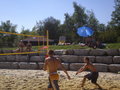 Beachvolleyballtunier in schleißhe 23983056