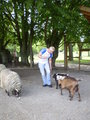 Wildpark Schloß Ortenburg, Bezirk 20698287