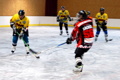 Eishockeyturnier 29871380