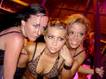 Meine bitches.........GGGGG 3154415