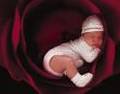 Anne Geddes 3287835