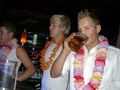 * * Hawaiiparty * * 42750897