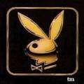 Playboy 4ever 4168107