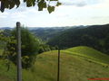 Weinbergtour 2009  61345584