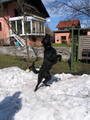 Winteraction mit Rico Part II 8424150