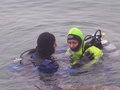 scuba diving 14067399