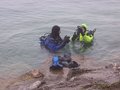 scuba diving 14068479