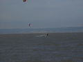 Kiten Neusiedlersee 56981821