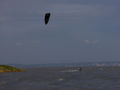Kiten Neusiedlersee 56981849