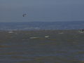 Kiten Neusiedlersee 56981901