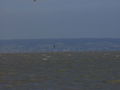 Kiten Neusiedlersee 56981917