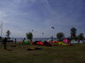 Kiten Neusiedlersee 56981965